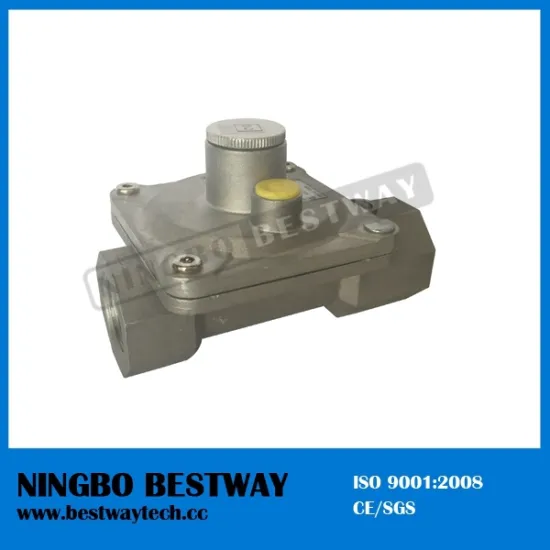 Ningbo Bestway New Product High Performance Gas Regulator
