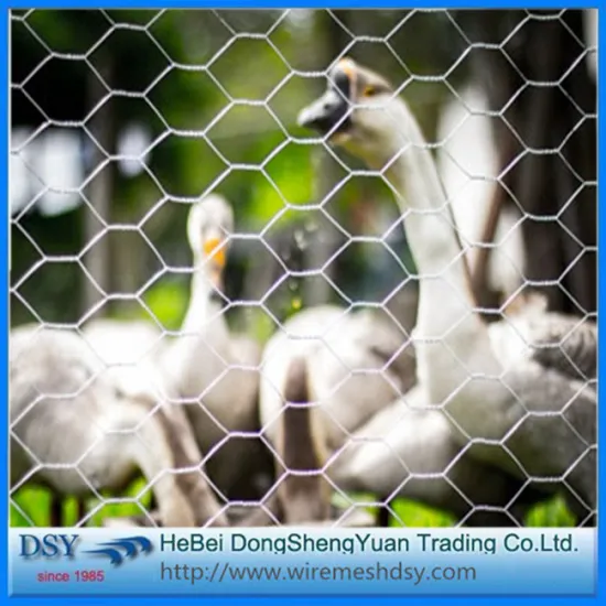 Factory galvanized hexagonal animal wire mesh