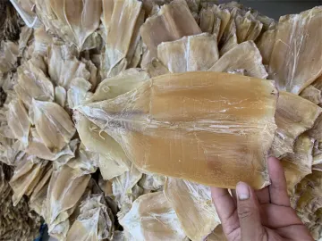 frozen seafood dried squid body