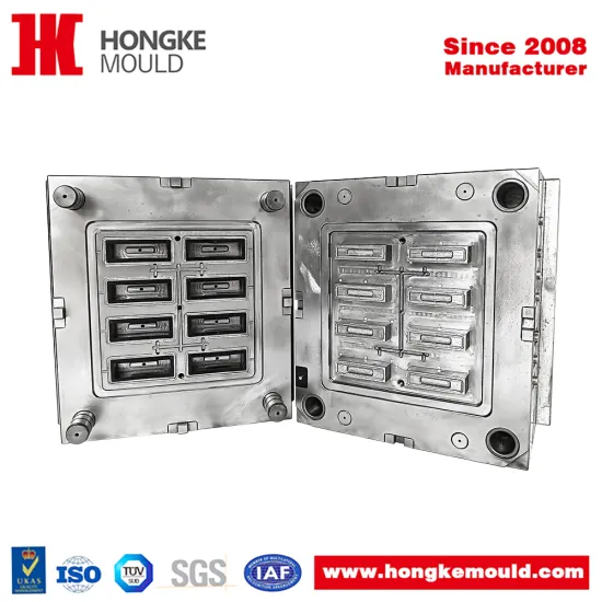 Custom 8-cavity Injection Mold For ABS Housing