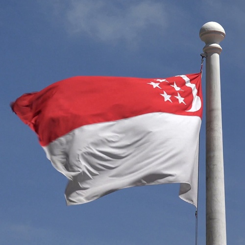Polyester Material National Country Singapore Flag