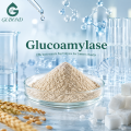 lucoamylase لتحويل النشا إلى الجلوكوز بكفاءة