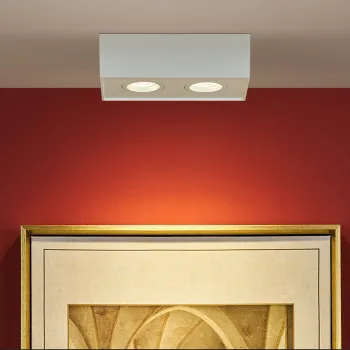 surface downlight with fast-fit bracket