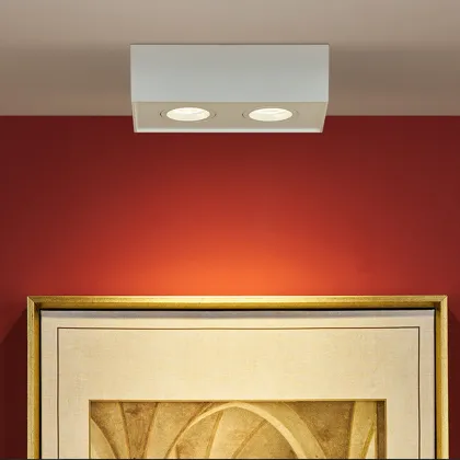 surface downlight with fast-fit bracket