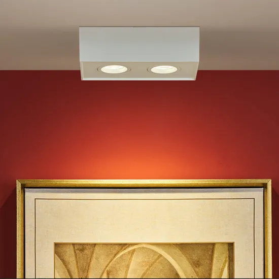 surface downlight with fast-fit bracket