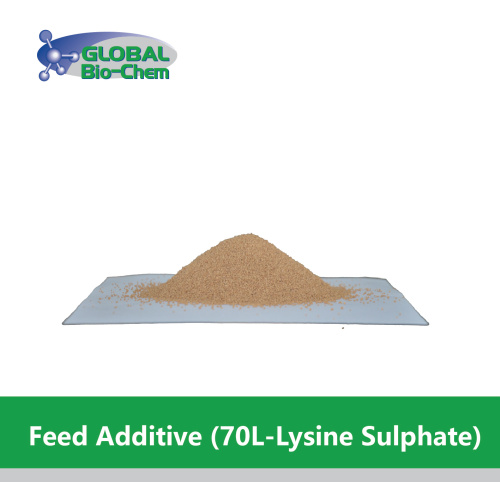 Quudinta wax lagu daro (70l-lesine sulphate) budada amino acid