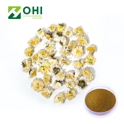 Chrysanthemum Flower Extract Instant Tea Powder