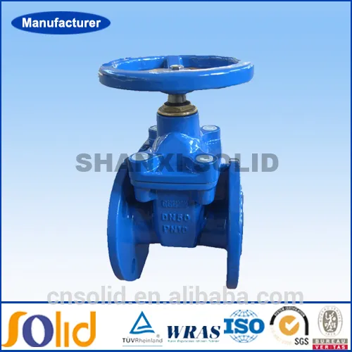 Cast iron rising stem gate valve with prices manufacturer