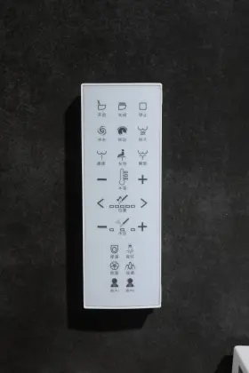 Floor mounted new style electronic intelligent toilet
