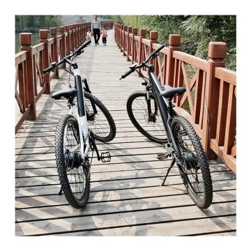 Fabriks grossist: Högkvalitativ 48V 250W Brushless Motor Pedal Assist Electric Cruiser Cykel för vuxna - 27,5 tums Mountain Ebike