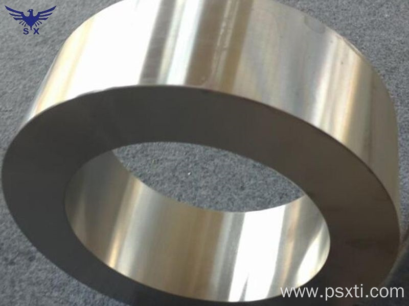 Professional Forging Ring Titanium