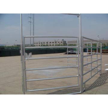 Pipe Horse Fence Panels Paarden paddock hek