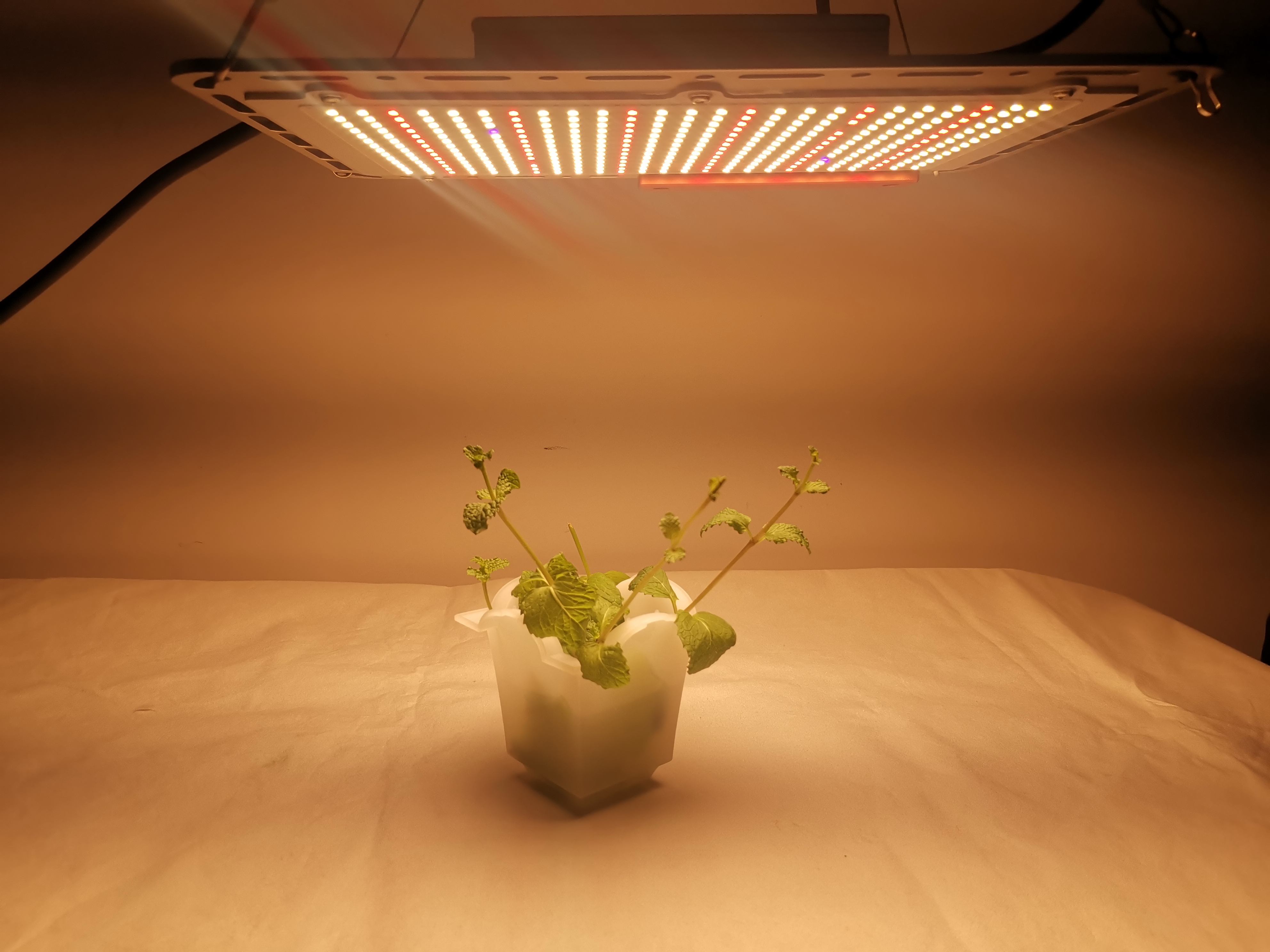 Diy Quantum Board Grow Light