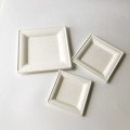 Piastre di bagasse bianche quadrate compostabili 20x20cm