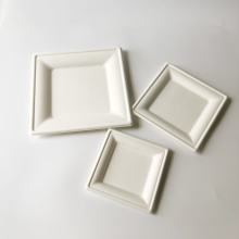 Composteerbare vierkante witte bagasse -platen 20x20cm