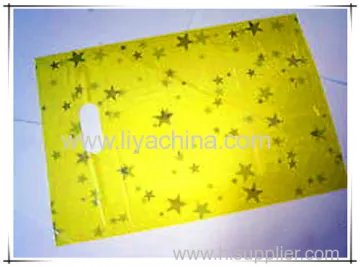 2013 Clothes Plastic Bags 