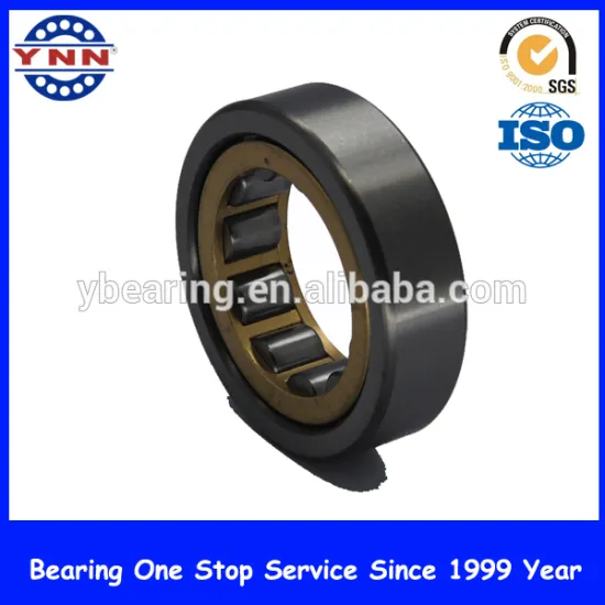 High precision & long-life cylindrical roller bearings 309 series cylindrical bearing