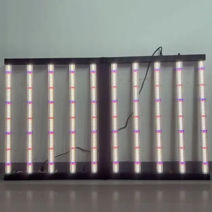 1000W 10BAR Blue IR 4*6ft Gavita Grow Light