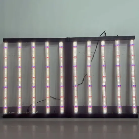 1000W 10BAR Blue IR 4*6ft Gavita Grow Light