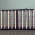 1000W 10bar blå ir 4*6ft Gavita Grow Light