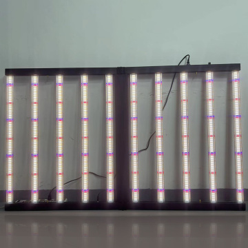 Full Spectrum 1000W Led Grow Light For Microgreens