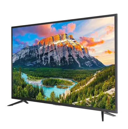 Large Size Digital Television