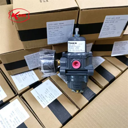 Pressure Reducing Valve and Filter Regulator for Fisher 67C Series Instruments