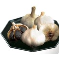 Control temperature of the fermented black garlic