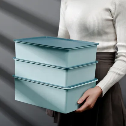underware organizer bra storage box with 10 grid