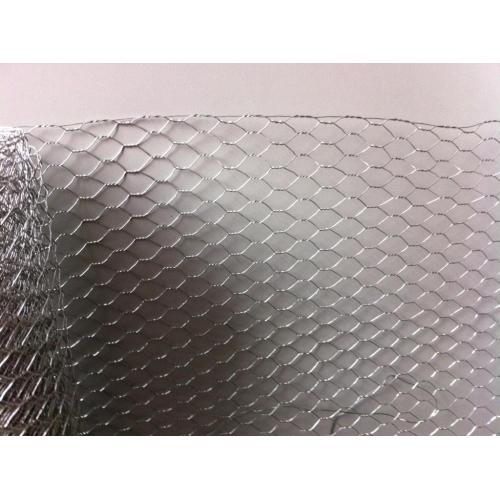 hot dipped galvanized hexagonal wire mesh/chicken wire