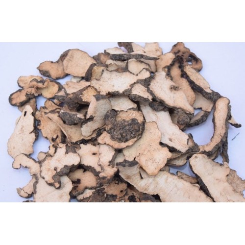 High quality polyporus umbellatus