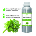 100% Pure And Natural Parsley Essential Oil High Quality Wholesale Bluk Essential Oil For Global Purchasers The Best Price