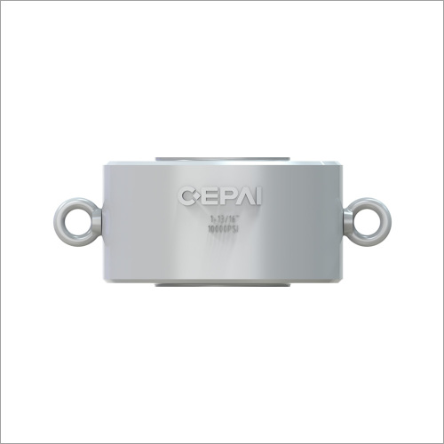 Double plate check valve