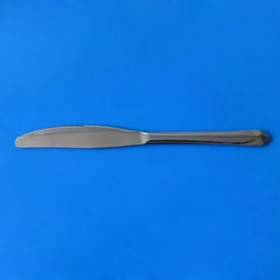 Heavy-Duty Stainless Steel Steak Knife