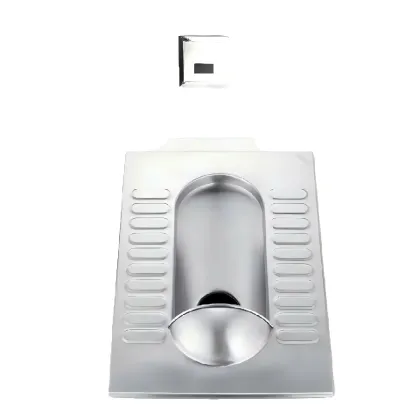 Customizable stainless steel squat toile