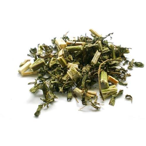 Top Quality Herba Leonuri