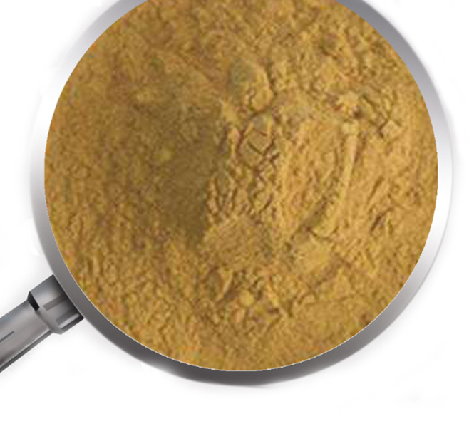 Bean Extract Powder 6 Png