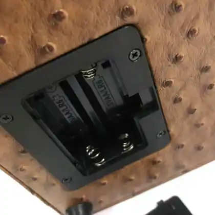 Ostrich Brown Leather Cases Watch Winder Box