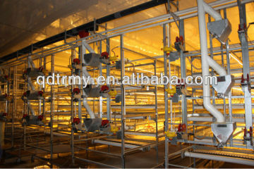 H frame automatic pullet rearing cage poultry equipment