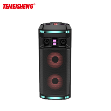 2024 Temeisheng Factory Best Seller Dual 6.5 Inch Super Bass Portable Wireless Bluetooth DJ Speaker