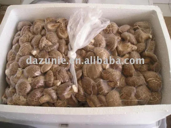 Cultivated Shiitake Mushrooms