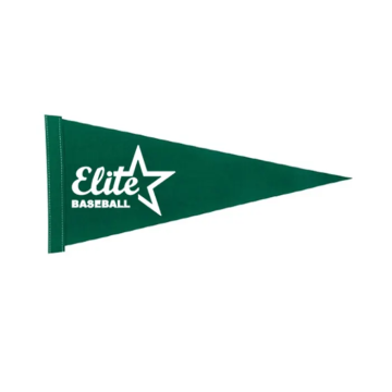 Sunshine Professional Flag Factory: Premium Quality Custom Logo Print Sports Green Felt Pennant