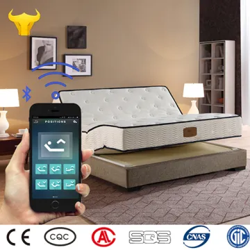 Intelligent Furniture Electric Adjustable Mattress