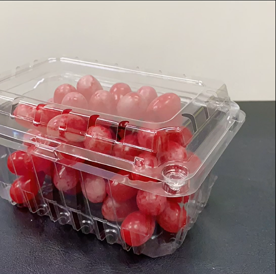 1 Lb Plastic Strawberries Punnet