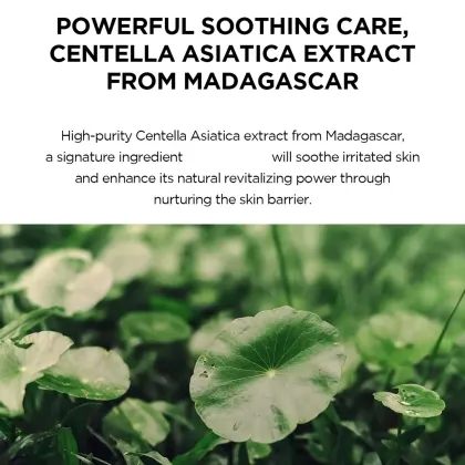 Korean Lightweight Hydrating Organic Sunscreen Cosmetics