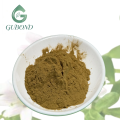 Extracto de Bacopa Monnieri para suplementos dietéticos