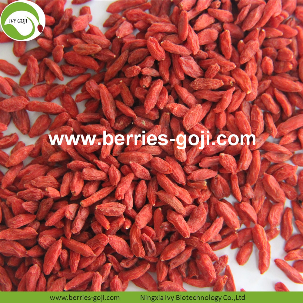 goji berry