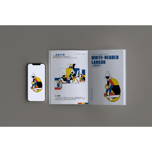 Customizable color combination for magazine