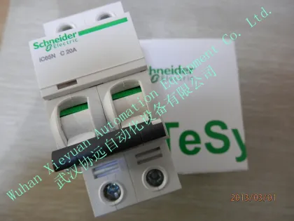 IC65N 2P 20CA Schneider circuit breaker