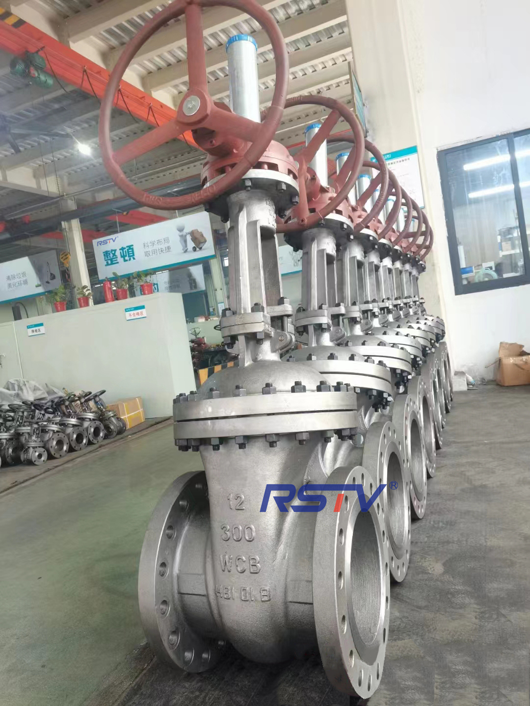 gate valve2